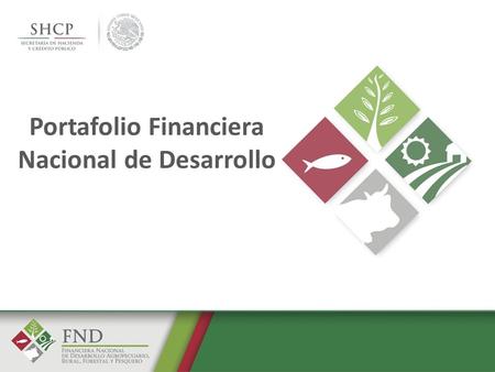 Portafolio Financiera Nacional de Desarrollo