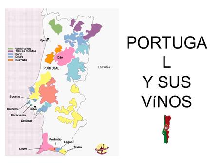 PORTUGAL Y SUS VíNOS.