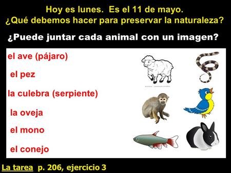 Hoy es lunes. Es el 11 de mayo. ¿Qué debemos hacer para preservar la naturaleza? ¿Puede juntar cada animal con un imagen? La tarea p. 206, ejercicio 3.