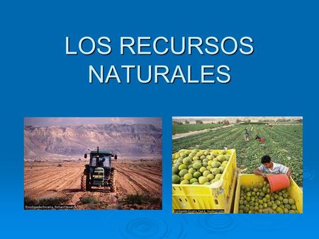 LOS RECURSOS NATURALES
