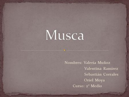 Nombres: Valeria Muñoz Valentina Ramírez Sebastián Corrales Oriel Moya Curso: 2° Medio.