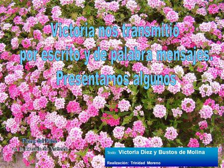 Texto: Victoria Díez y Bustos de Molina Realización: Trinidad Moreno.