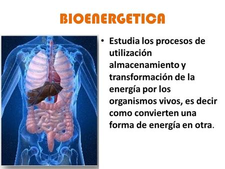 BIOENERGETICA Estudia los procesos de utilización almacenamiento y transformación de la energía por los organismos vivos, es decir como convierten una.