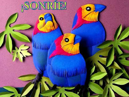 ¡SONRÍE!.