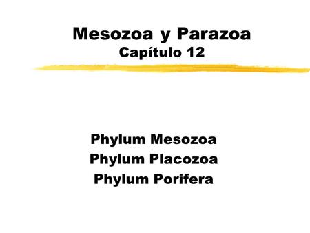 Mesozoa y Parazoa Capítulo 12