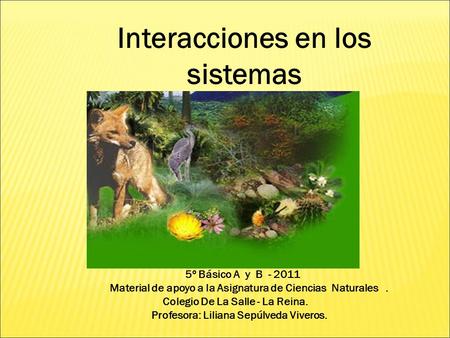Interacciones en los sistemas