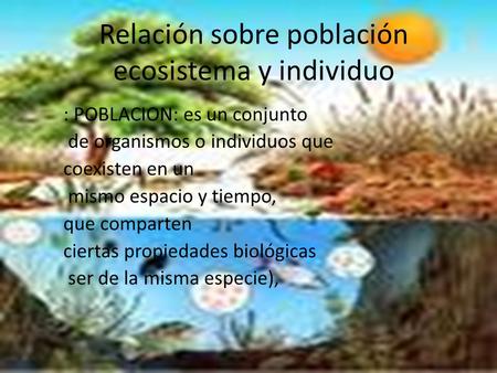 Relación sobre población ecosistema y individuo