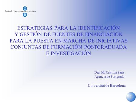 1 ESTRATEGIAS PARA LA IDENTIFICACIÓN Y GESTIÓN DE FUENTES DE FINANCIACIÓN PARA LA PUESTA EN MARCHA DE INICIATIVAS CONJUNTAS DE FORMACIÓN POSTGRADUADA E.