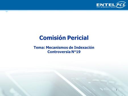 Comisión Pericial Tema: Mecanismos de Indexación Controversia N°19 1.