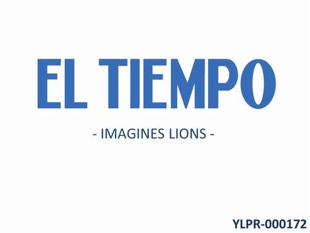 YLPR-000172 - IMAGINES LIONS -. TÁCTICAACCIÓN Realización de piezas publicitarias con el fin de posicionar la marca en las distintas regiones. Poner.