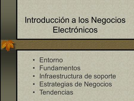 Introducción a los Negocios Electrónicos