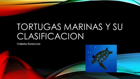 Tortugas marinas y su clasificacion