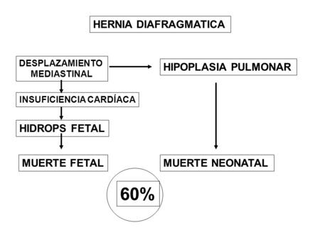 60% HERNIA DIAFRAGMATICA HIPOPLASIA PULMONAR MUERTE NEONATAL
