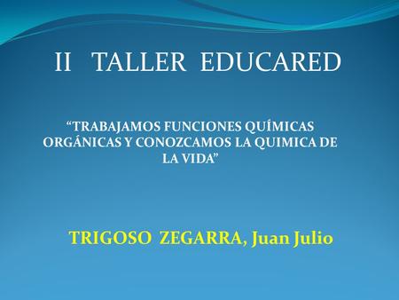 TRIGOSO ZEGARRA, Juan Julio