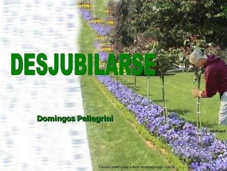 Domingos Pellegrini El llegó a la plaza con una barreta. Enderezó la estaca de un arbolito y la afirmó golpeándola con la barreta. Amarró la planta a.