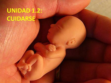 UNIDAD 1.2: CUIDARSE.