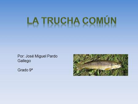 Por: José Miguel Pardo Gallego Grado 9ª. Es un pez de la familia salmónido. No pasa de los 60cm de largo y puede llegar a pesar 8kg. Su dorso es de color.
