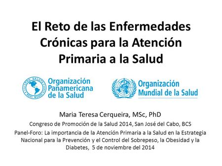 Maria Teresa Cerqueira, MSc, PhD