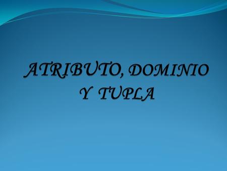 Se conocen como la información que describe un dato objeto, en el cual se definen sus propiedades y los datos o campos que contiene dicho objeto. Un atributo.