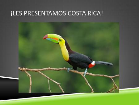 ¡LES PRESENTAMOS COSTA RICA!. EL CONTINENTE ES NORTH AMERICA.