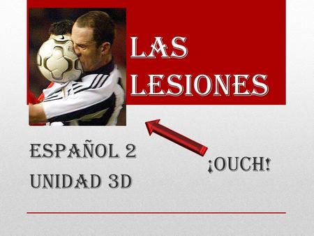 Las Lesiones Español 2 Unidad 3D ¡Ouch!. ¡LOS ANIMALES TAMBIEN ESTORNUDAN! Perros Estornudando El Oso! Lucas Achu!