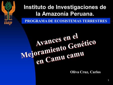 1 Instituto de Investigaciones de la Amazonía Peruana. Avances en el Mejoramiento Genético en Camu camu Oliva Cruz, Carlos PROGRAMA DE ECOSISTEMAS TERRESTRES.
