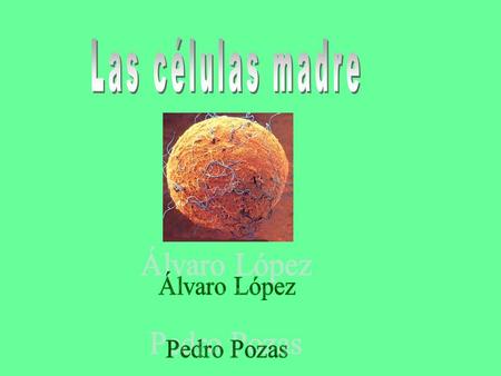 Las células madre Álvaro López Pedro Pozas.