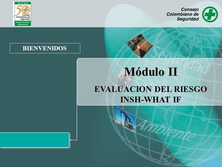 EVALUACION DEL RIESGO INSH-WHAT IF