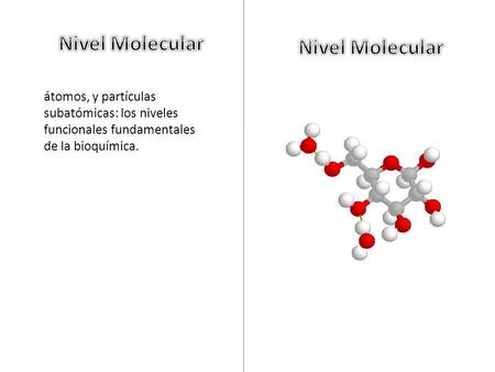 Nivel Molecular Nivel Molecular