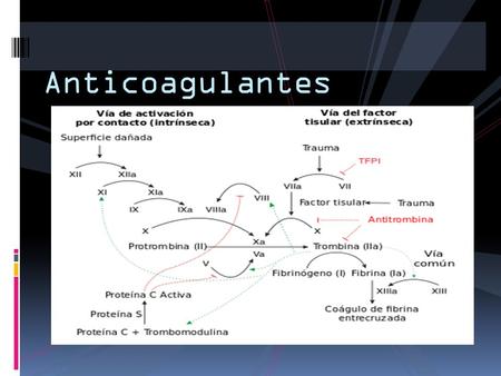 Anticoagulantes.