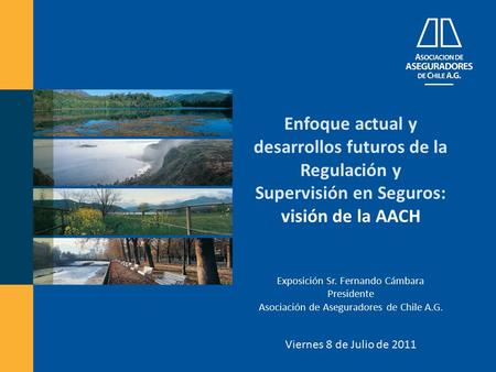 Enfoque actual y desarrollos futuros de la Regulación y Supervisión en Seguros: visión de la AACH Exposición Sr. Fernando Cámbara Presidente Asociación.