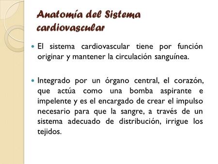 Anatomía del Sistema cardiovascular