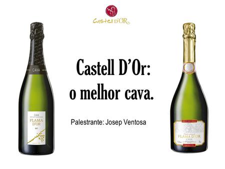 Castell D’Or: o melhor cava. Palestrante: Josep Ventosa.