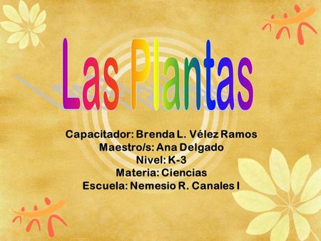 Las Plantas Capacitador: Brenda L. Vélez Ramos Maestro/s: Ana Delgado