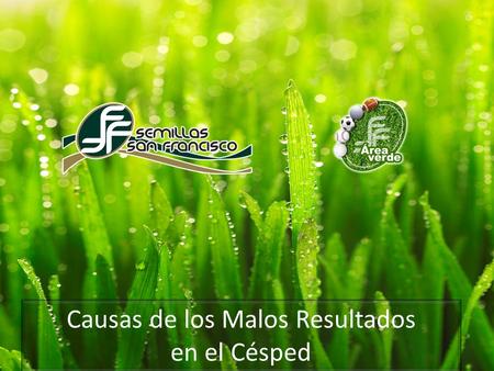 Causas de los Malos Resultados