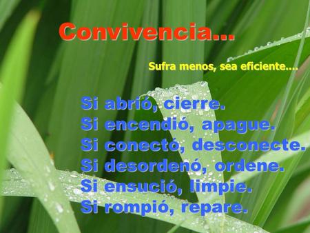 Convivencia... Sufra menos, sea eficiente....