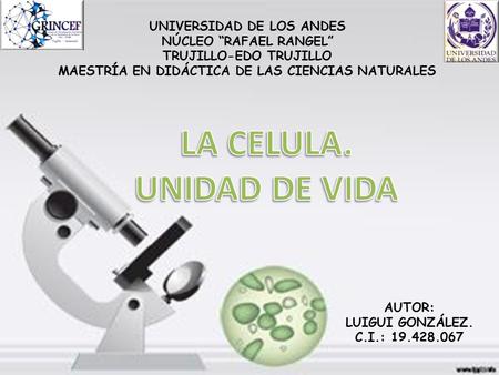 UNIVERSIDAD DE LOS ANDES NÚCLEO “RAFAEL RANGEL” TRUJILLO-EDO TRUJILLO MAESTRÍA EN DIDÁCTICA DE LAS CIENCIAS NATURALES AUTOR: LUIGUI GONZÁLEZ. C.I.: 19.428.067.