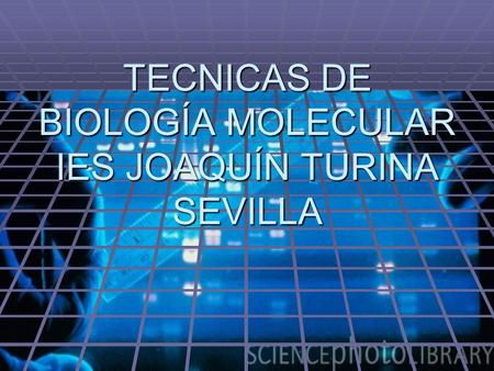 TECNICAS DE BIOLOGÍA MOLECULAR IES JOAQUÍN TURINA SEVILLA.