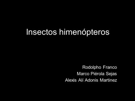 Insectos himenópteros