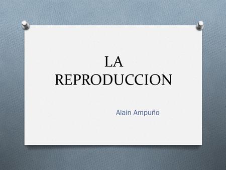 LA REPRODUCCION Alain Ampuño.