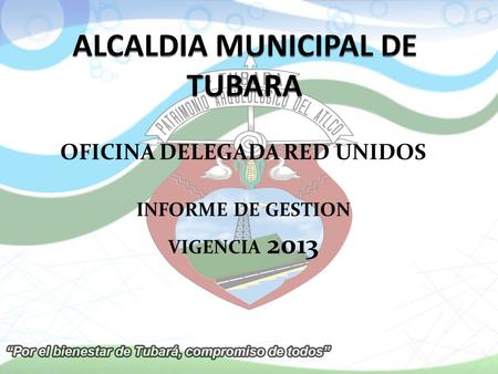 OFICINA DELEGADA RED UNIDOS INFORME DE GESTION VIGENCIA 2013.