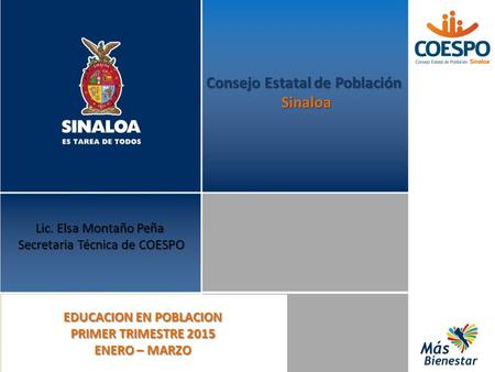 Consejo Estatal de Población Sinaloa Sinaloa Lic. Elsa Montaño Peña Secretaria Técnica de COESPO EDUCACION EN POBLACION PRIMER TRIMESTRE 2015 ENERO – MARZO.