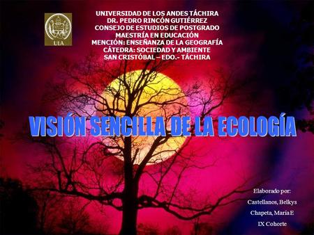 Elaborado por: Castellanos, Belkys Chapeta, María E IX Cohorte UNIVERSIDAD DE LOS ANDES TÁCHIRA DR. PEDRO RINCÓN GUTIÉRREZ CONSEJO DE ESTUDIOS DE POSTGRADO.