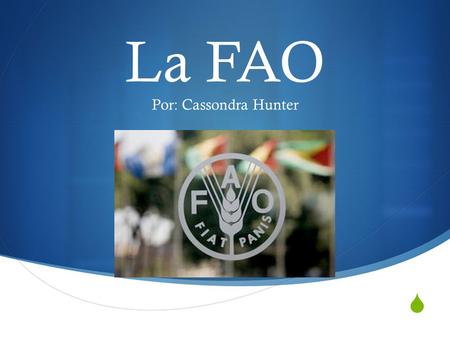 La FAO Por: Cassondra Hunter.