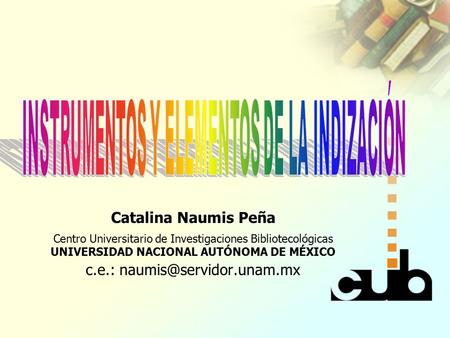 INSTRUMENTOS Y ELEMENTOS DE LA INDIZACIÓN Catalina Naumis Peña