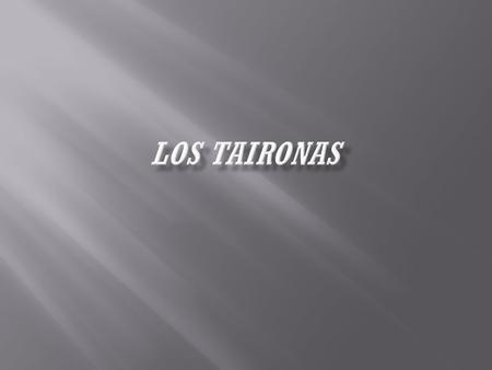 LOS TAIRONAS.