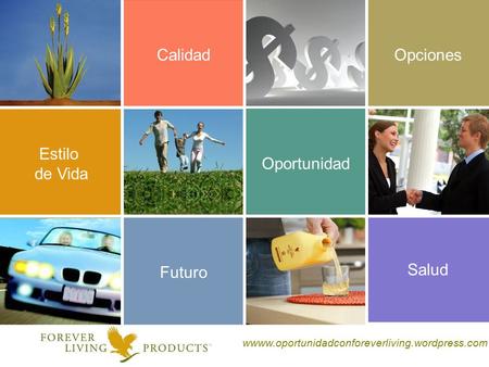 Calidad Opciones Estilo de Vida Oportunidad Futuro Salud
