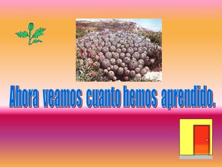 ¿Qué instrumento nos permitió ver con más detalle la flora y fauna del desierto ? A microscopio B telescopio C lupa Elige la alternativa correcta.