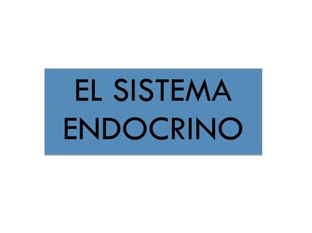 EL SISTEMA ENDOCRINO.