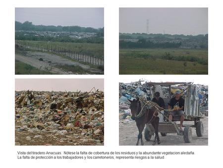 Vista del tiradero Anacuas. Nótese la falta de cobertura de los residuos y la abundante vegetacion aledaña. La falta de protección a los trabajadores y.